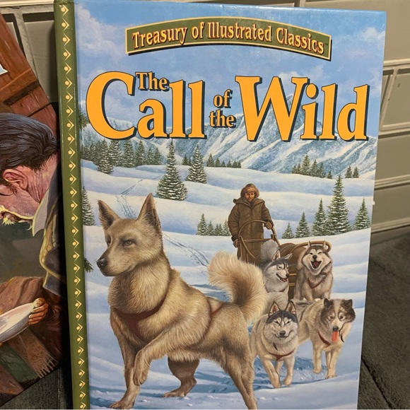 Illustrated classics set of 2 oliver twist - Picture 7 of 10